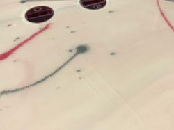 �|���G�X�e�� �t�B�� FCS 10_2